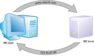 What is a DNS