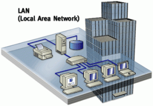 What does LAN stands for