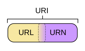 Domain Name vs. URL