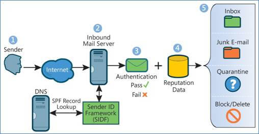 What is DNS Cache
