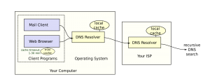 clear dns cache