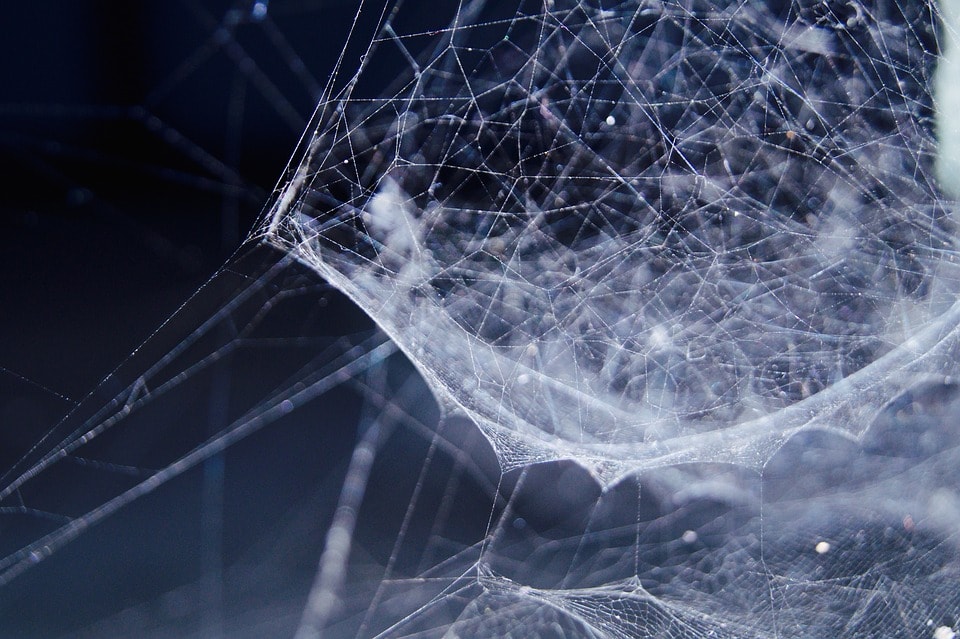 What is the Cellular Network Data Meaning